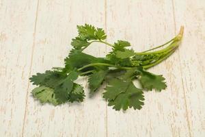 Fresh ripe  Green cilantro leaves photo