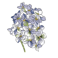 linda flor png ilustração