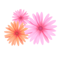 bellissimo png floreale