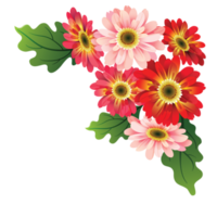 Flowers PNG Free Images with Transparent Background - (54,551 Free  Downloads)