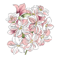 beautiful flower png illustration