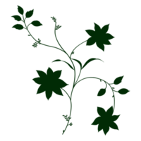 feuille floral png
