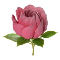 Pétalo de flor de rosa 3d con hojas png