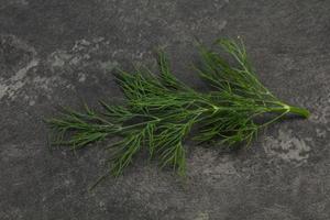 Fresh green dill herb branch photo