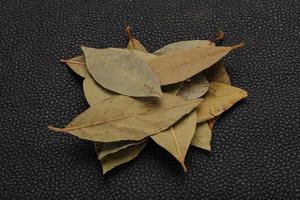 Dry laurel leaves photo