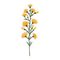 foglia e fiore dell'acquerello, clipart di foglie verdi png