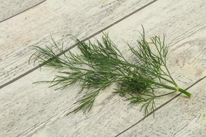 Fresh green dill herb branch photo