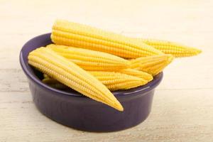 Young baby corn photo