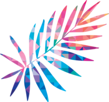 Colorful tropical leaf png