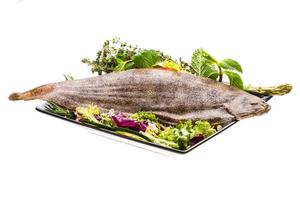 Fish Dover sole photo