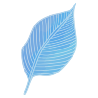 feuille aquarelle, feuilles bleues clipart png