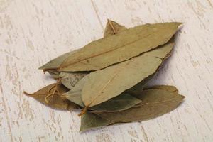 Dry laurel leaves photo