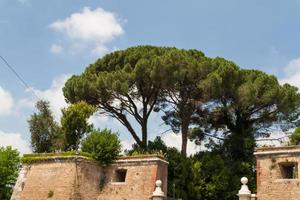 Roma, Italia. detalles arquitectónicos típicos de la ciudad vieja foto