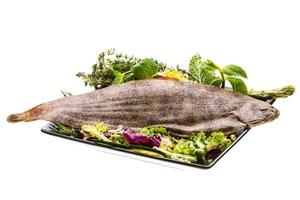 Fish Dover sole photo