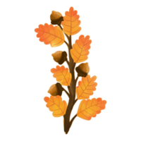 Watercolor Leaf, Autumn leaves clipart png