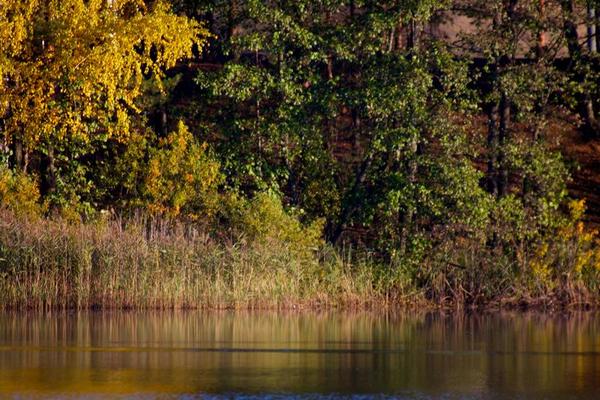 Colorful autumn trees fortress at the river front