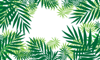 fond de feuilles vertes tropicales png