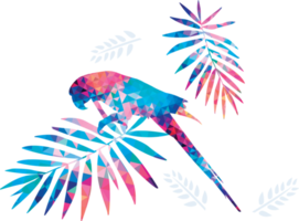 sfondo colorato del modello dell'uccello dell'ara. png