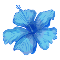 fleur aquarelle, clipart flore bleue png