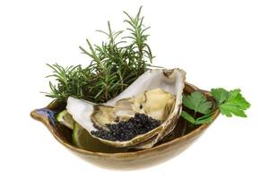 Oysters with black cavair photo