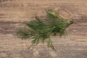 Fresh green dill herb branch photo