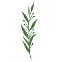 akvarell blad, gröna blad clipart png