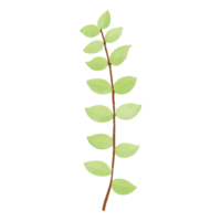 akvarell blad, gröna blad clipart png