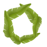 akvarell löv ram, gröna blad clipart png