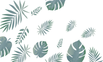 tropical green leaf pattern background png