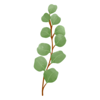 akvarell blad, gröna blad clipart png