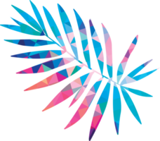 Colorful tropical leaf png