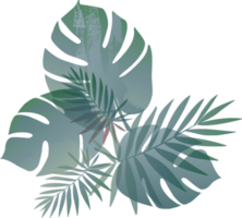 fondo de patrón de hoja verde tropical png