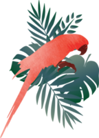 fond de motif d'oiseau ara coloré. png