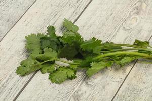 hojas frescas de cilantro verde maduro foto