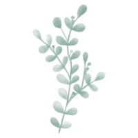 akvarell blad, gröna blad clipart png