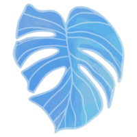 aquarellblatt, blaue blätter clipart png