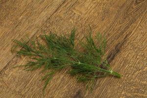 Fresh green dill herb branch photo