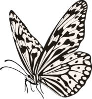 ilustración de mariposa dibujada a mano. png