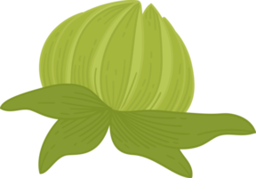 handgetekende dahliabloem png