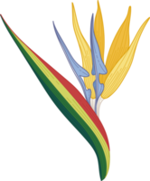 hand gezeichnete bunte aktuelle blume png