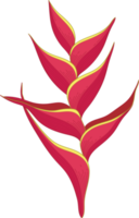 fleur topique rouge dessinée à la main png