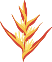 Hand drawn yellow topical flower png