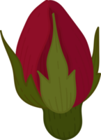 Hand drawn red rose flower png