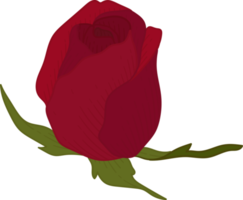 handgetekende rode roos bloem png