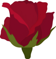 Hand drawn red rose flower png