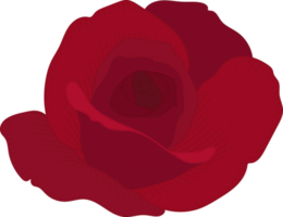 hand gezeichnete rote rosenblume png