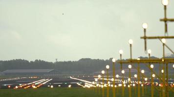 pájaros sobre la pista. aeropuerto internacional de amsterdam antes del amanecer video