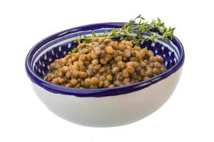 Backed lentils on white photo
