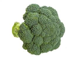 Broccoli on white photo