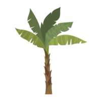 Palm tree cartoon png